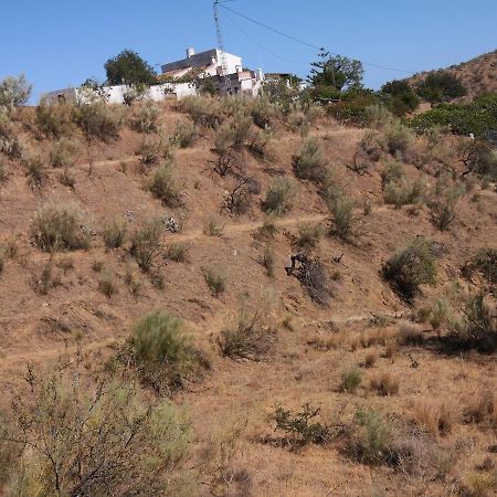 Finca La Pimienta Pizarra Bagian luar foto