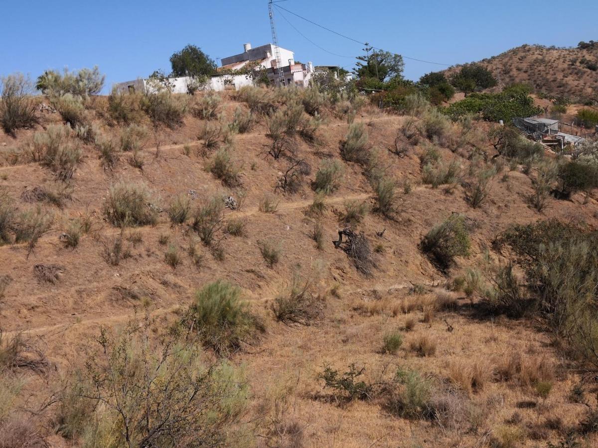 Finca La Pimienta Pizarra Bagian luar foto
